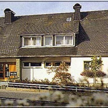Pension Braun Winterberg Dış mekan fotoğraf